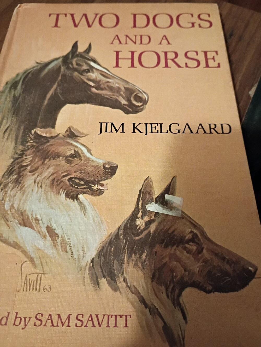 Two Dogs And A Horse